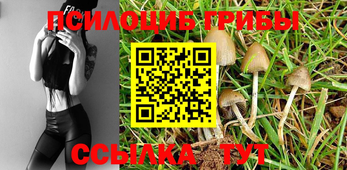 Псилоцибиновые грибы ЛСД Салават