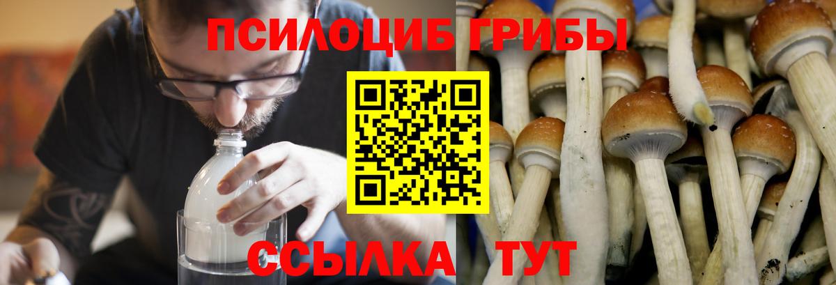 Галлюциногенные грибы Psilocybine cubensis  Вход с VPN  Салават 